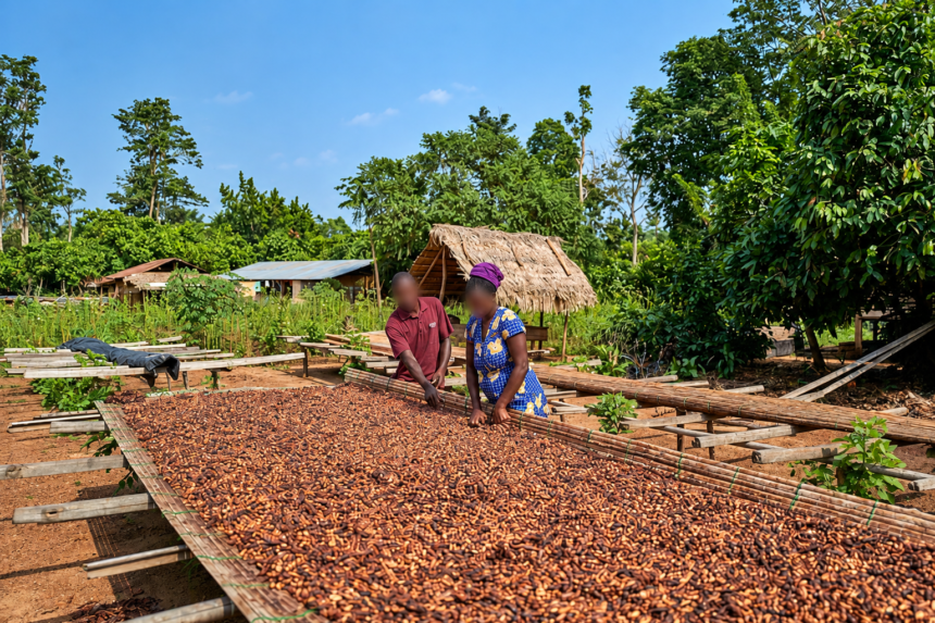 Ghana Turns to Domestic Investors for $1.4 Billion Cocoa Financing