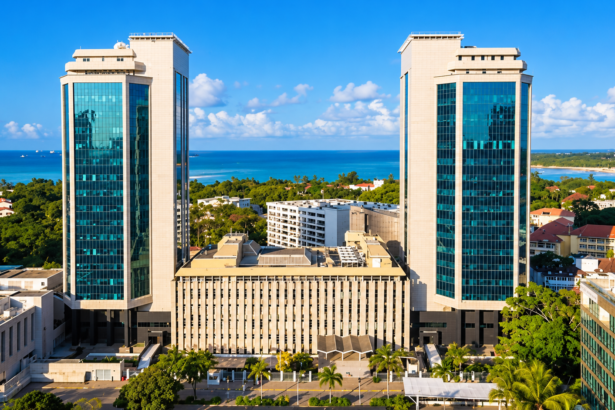 Tanzania Holds Benchmark Rate at 6.25% as Inflation Holds within Target