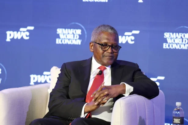 Dangote Targets 2027 Listing for Fertiliser business, a Year Earlier than Planned