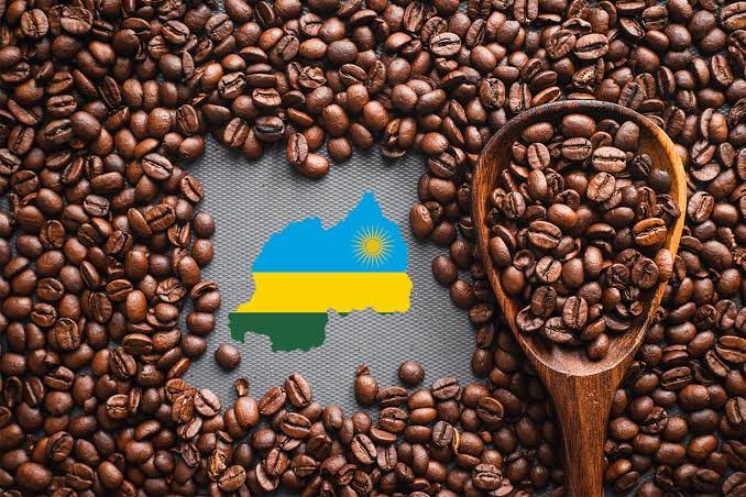 Rwanda's $452 Coffee Lot Tops Africa's October Price Board as Ivorian Growers Get the Least